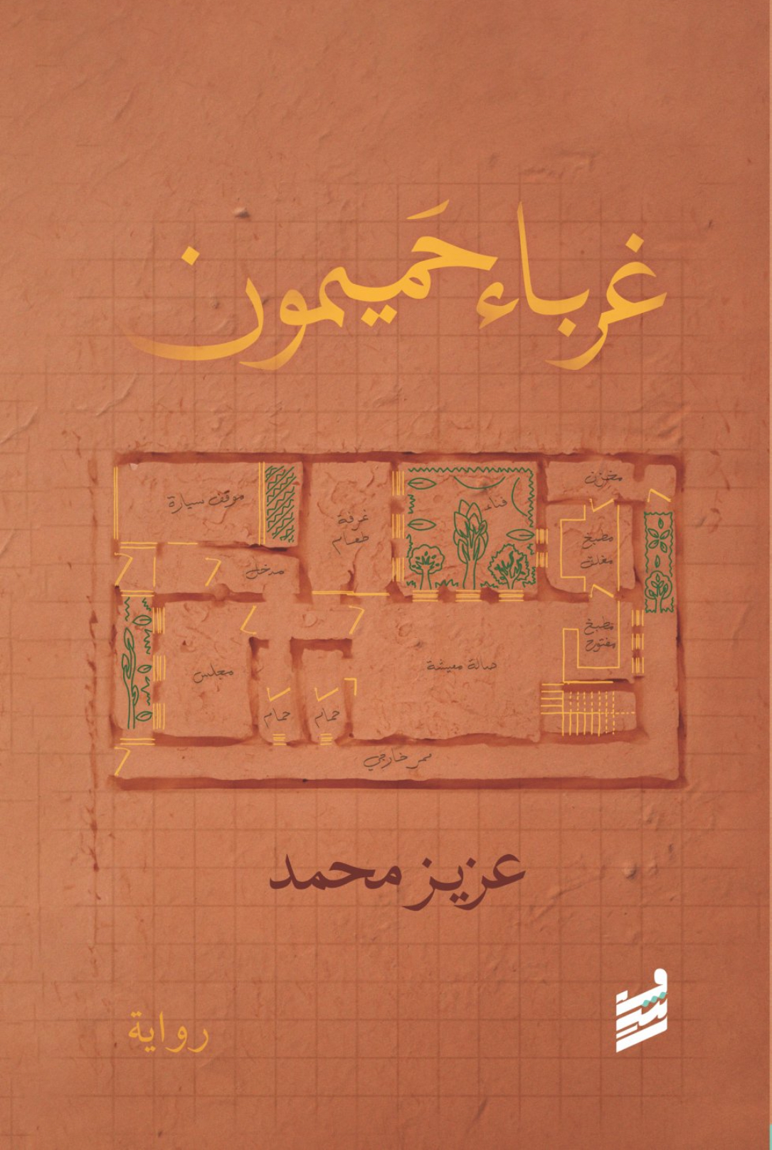 صورة